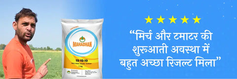 Mahadhan NPK 19:19:19 Fertilizer