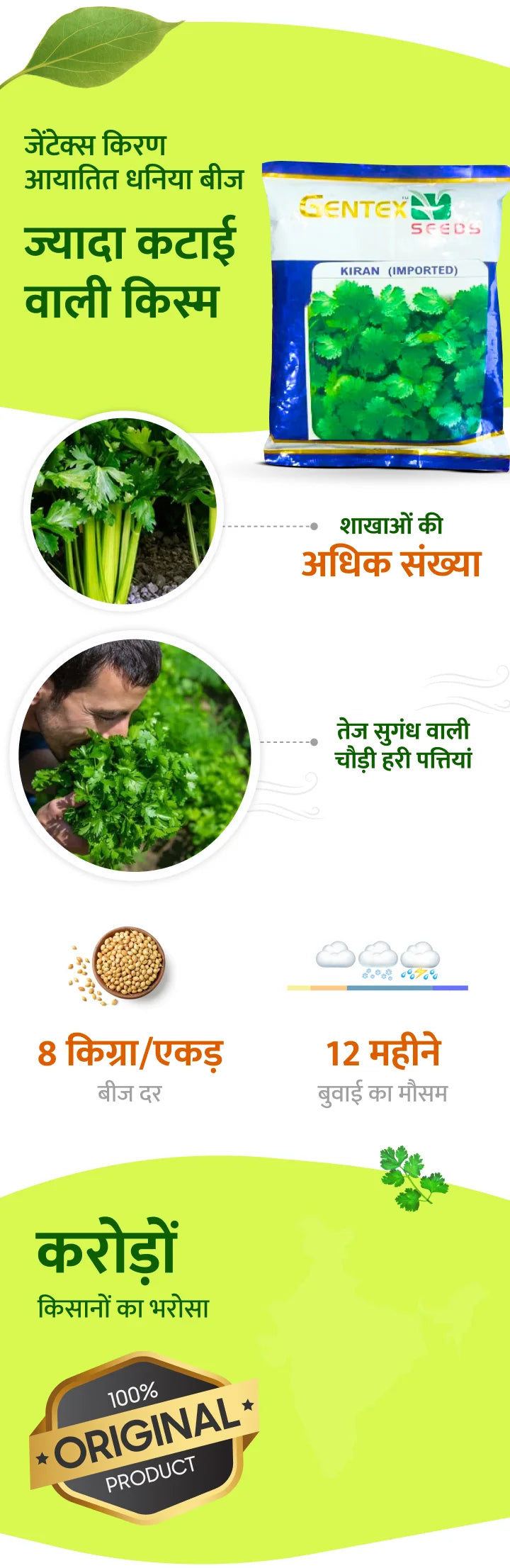 Gentex Kiran Imported Coriander Seeds