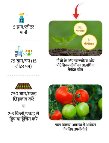 Mahadhan NPK 0:52:34 Fertilizer