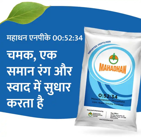Mahadhan NPK 0:52:34 Fertilizer