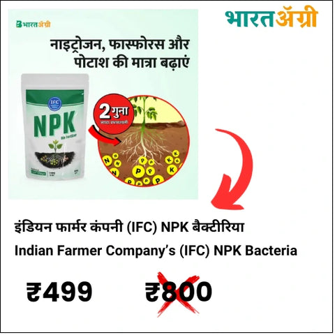 NPK Bacteria