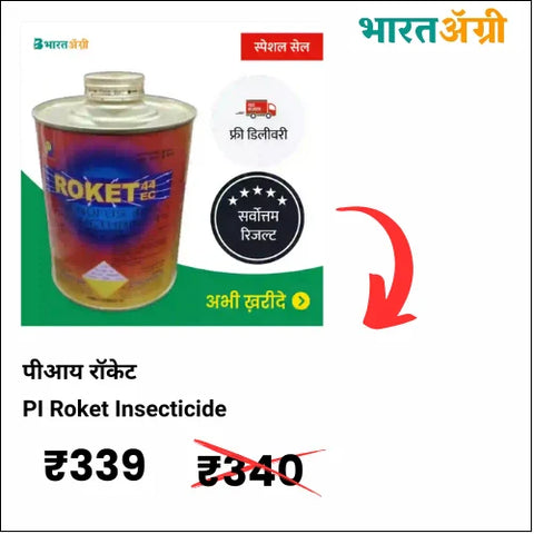 PI Roket Insecticide