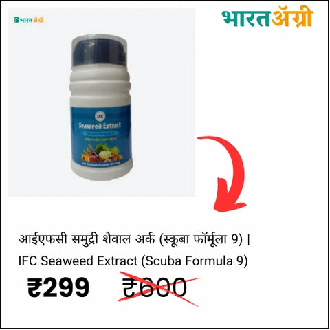 Seaweed Extract