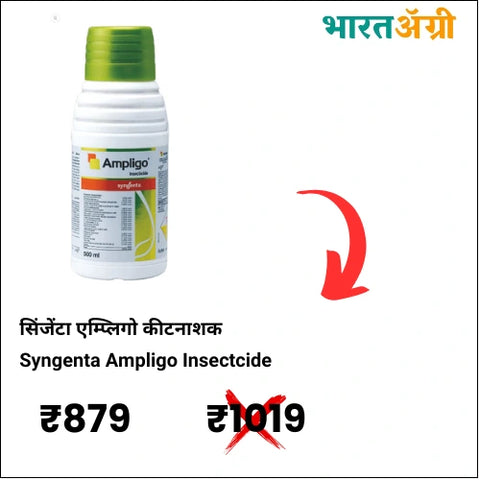 Syngenta Ampligo