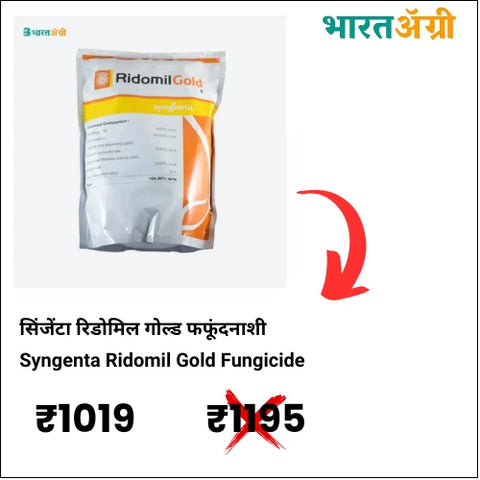 Syngenta Ridomil Gold