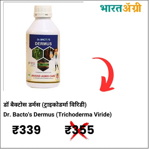 https://krushidukan.bharatagri.com/products/dr-dermus-trichoderma-viride-bio-fungicide?_pos=5&_sid=4abb09710&_ss=r
