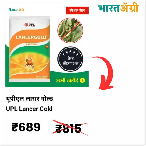 UPL Lancer Gold