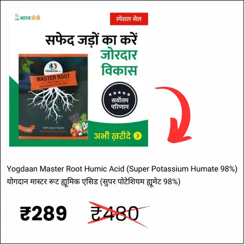 Yogdaan Master Root Humic Acid 