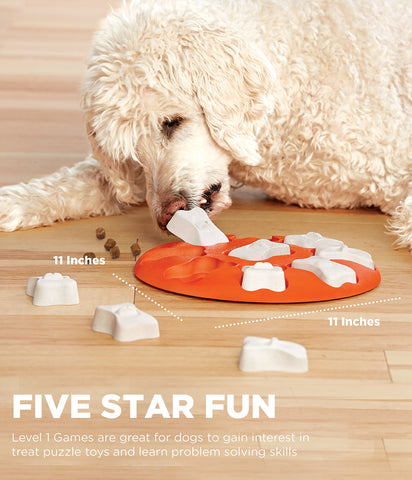 Pour votre chien 🐶 Mangeoire puzzle maroc pop miso dog feeder