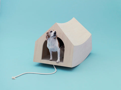 Architecture for Dogs by Hara Design Institude