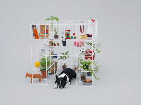Architecture for Dogs by Hara Design Institude