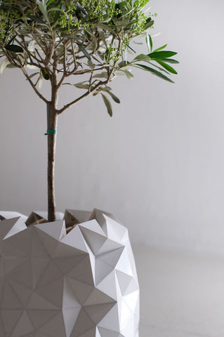 Origami Pot "Growth"