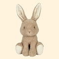 Cuddle Bunny 25cm