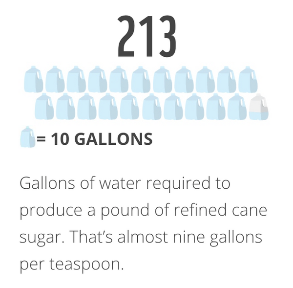 An image showing how much water is needed for sugarcane growing