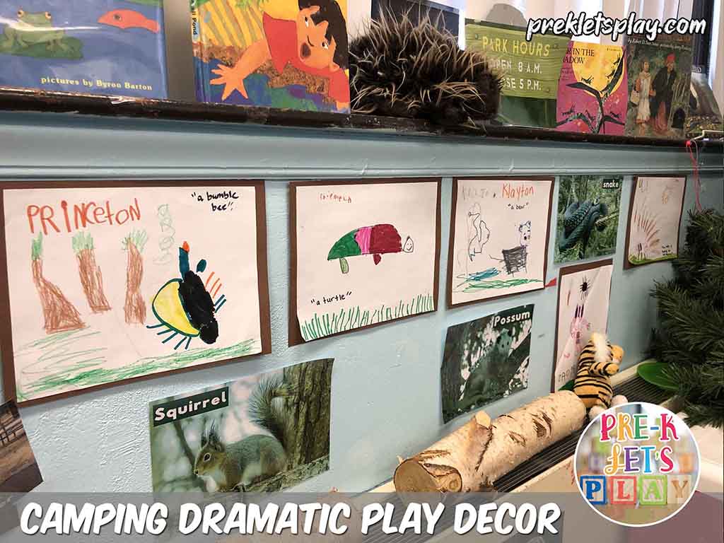 Drawings and real life pictures of woodland animals for pretend play. Students love to see their preschool art displayed in the camping dramatic play center.