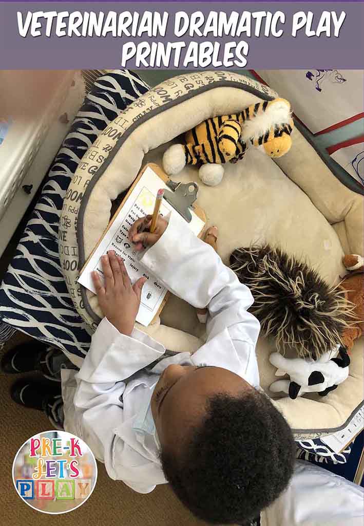 Student practicing fine motor skills for pretend play. This student is giving a pretend pet exam for his sick animal patients. Preschool fun in in the pet vet dramatic play hospital.