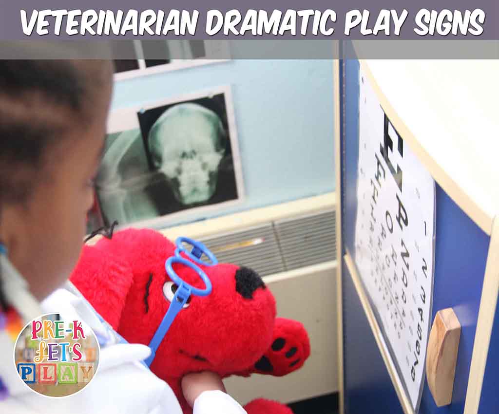 Student teaching stuffed animal dog how to read letters for pretend play. This eye chart is a sign that your students will love to use in the pet vet dramatic play center.