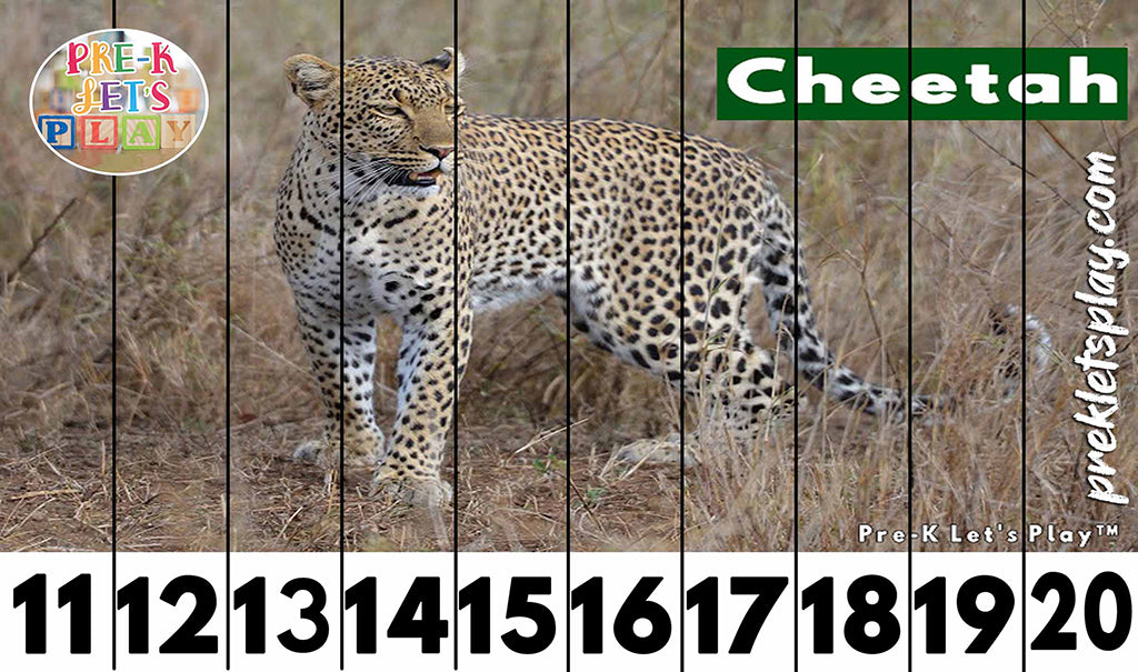 Preschool number strip puzzles of a cheetah for kids to practice counting from 11-20.