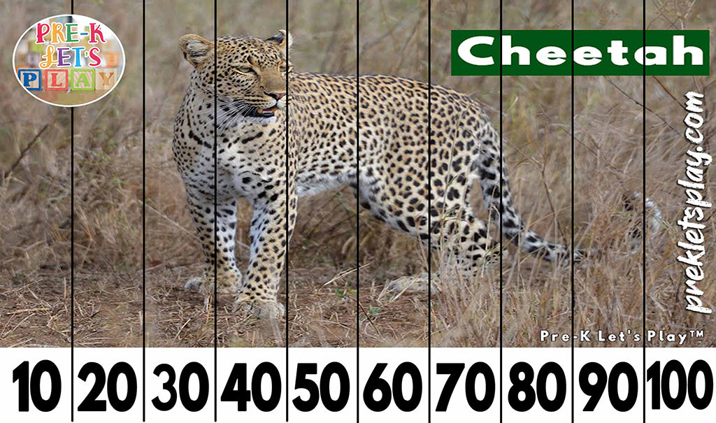 Preschool number puzzles of a cheetah for kids to practice skip counting by 10s from 10-100.