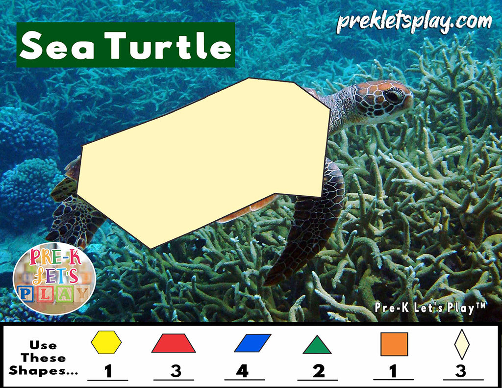 Sea turtle with a blank body outline of math pattern block templates