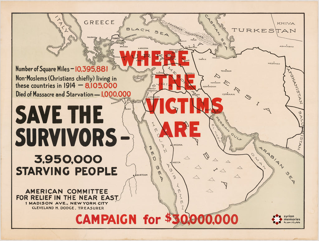 1918 Save the Survivors Map Poster