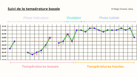 schema-monitoring-temperature-magic-ovaries-symptothermie-article-gapianne-Gapianne