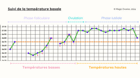 schema-suivi-temperature-magic-ovaries-symptothermie-article-gapianne-Gapianne
