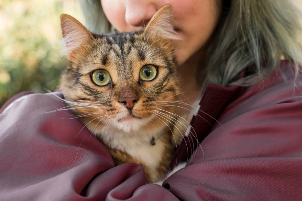 close-up-woman-hugging-her-tabby-cat_1