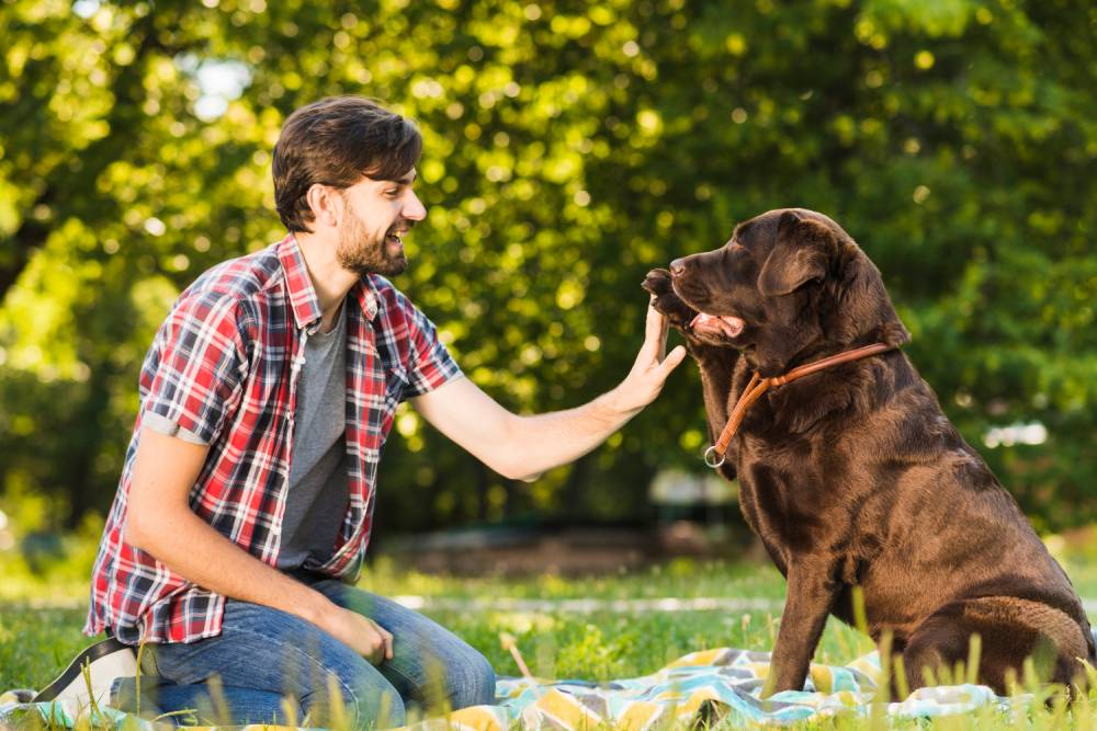 side-view-smiling-young-man-having-fun-with-his-dog-garden_1