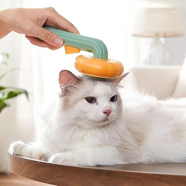Grooming brush for cats