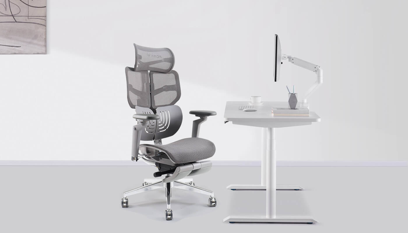 Impact of Ergonomic Furniture on Exercise and Productivity