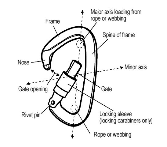 Climbing Carabiner Gear Guide - Types of Carabiners, Parts, and Sizes ...