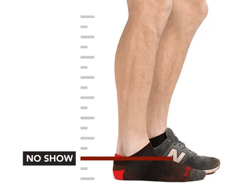 Darn Tough Sock Size Chart Animated Height