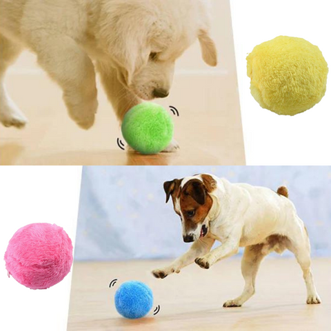 Smart Hundboll - bild på produkten