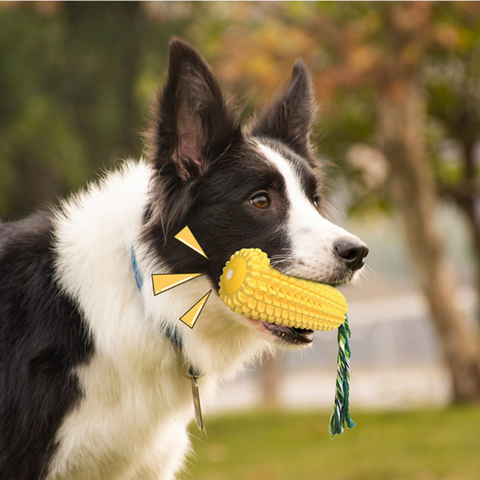 Majs Tuggleksak: Hållbar hundleksak som främjar hundens hälsa.