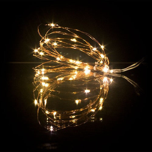 tiny lights on copper wire