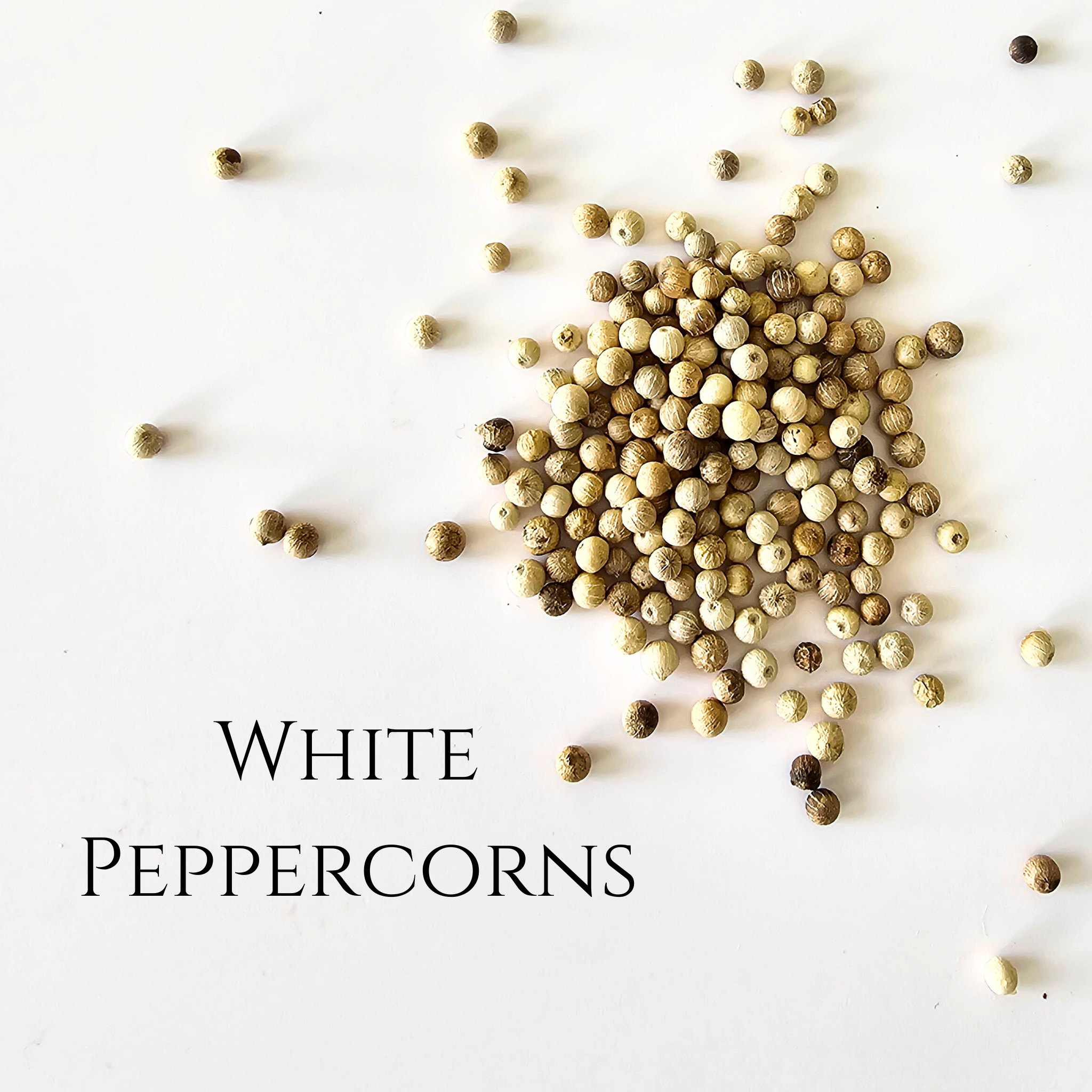 White Peppercorns - IndriVanilla product image