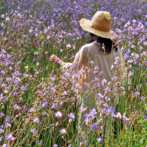 An image of a girl in a field of flowers.