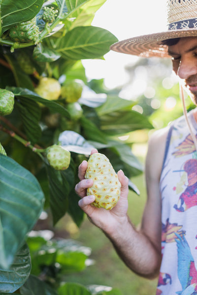 hawaiian organic noni