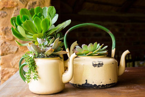 Pots de fleurs de récupération, Decoration éthique par bulles de citron