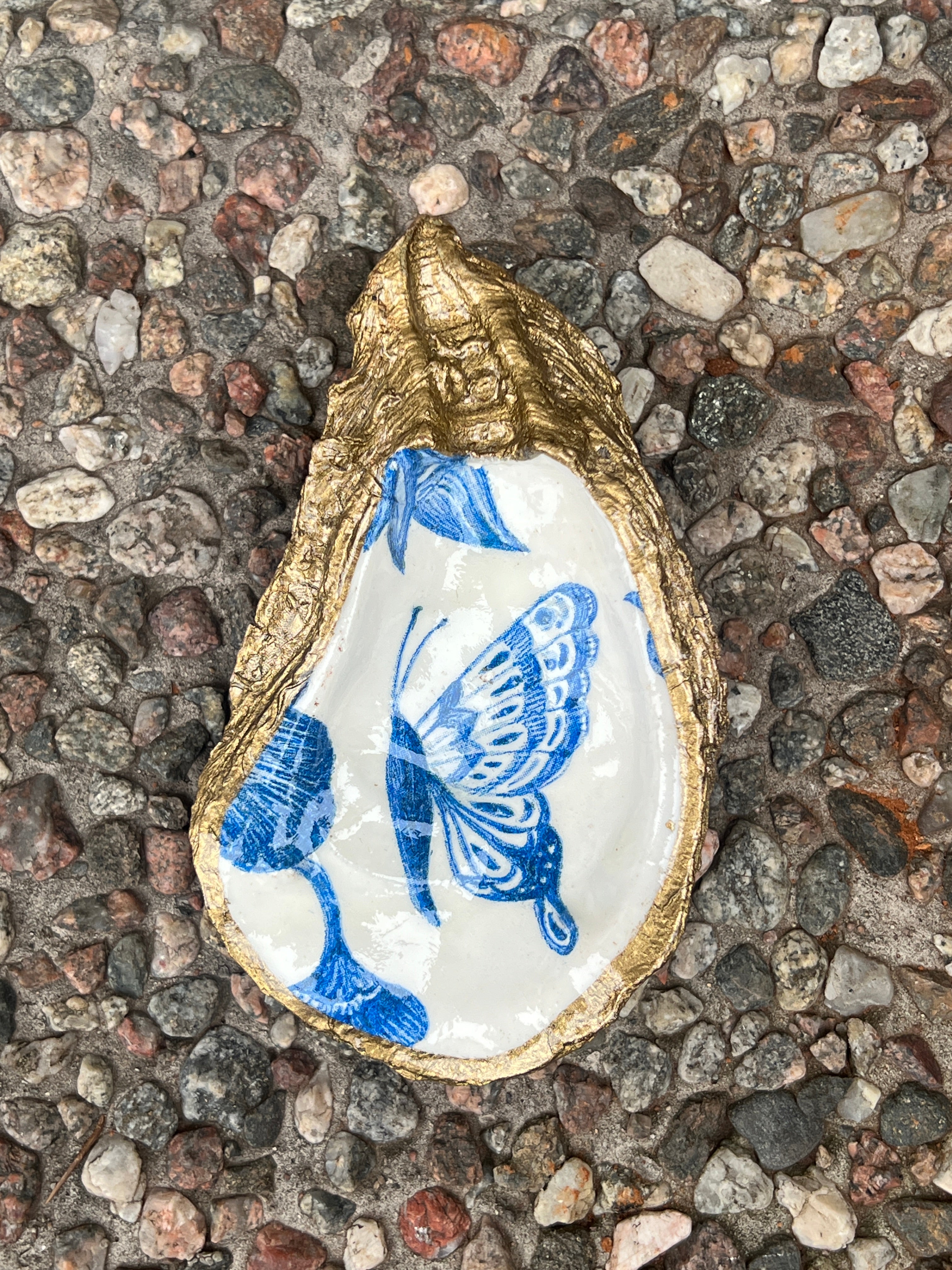 Image of Oyster blue butterfly