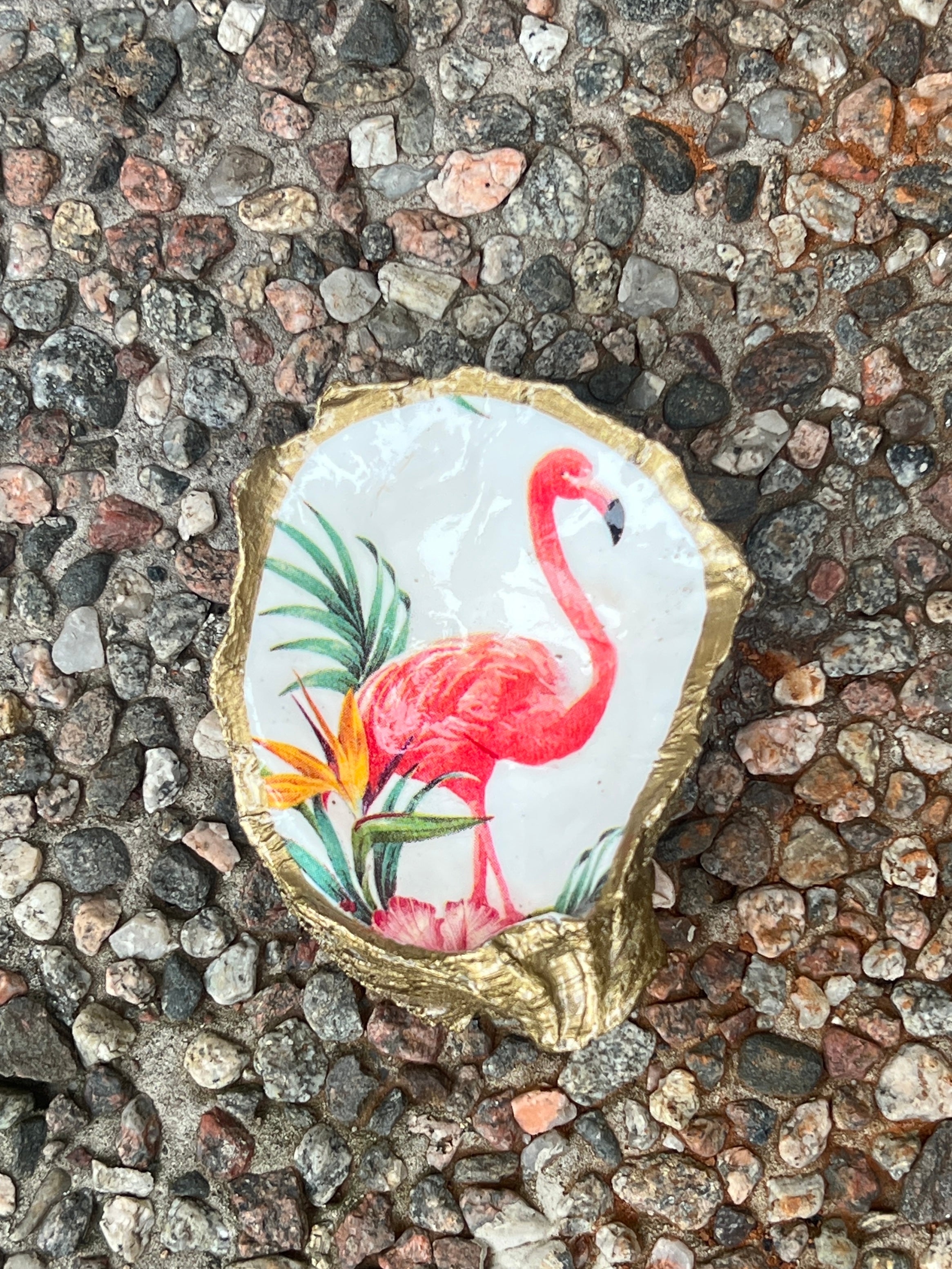 Image of Oyster Flamingo