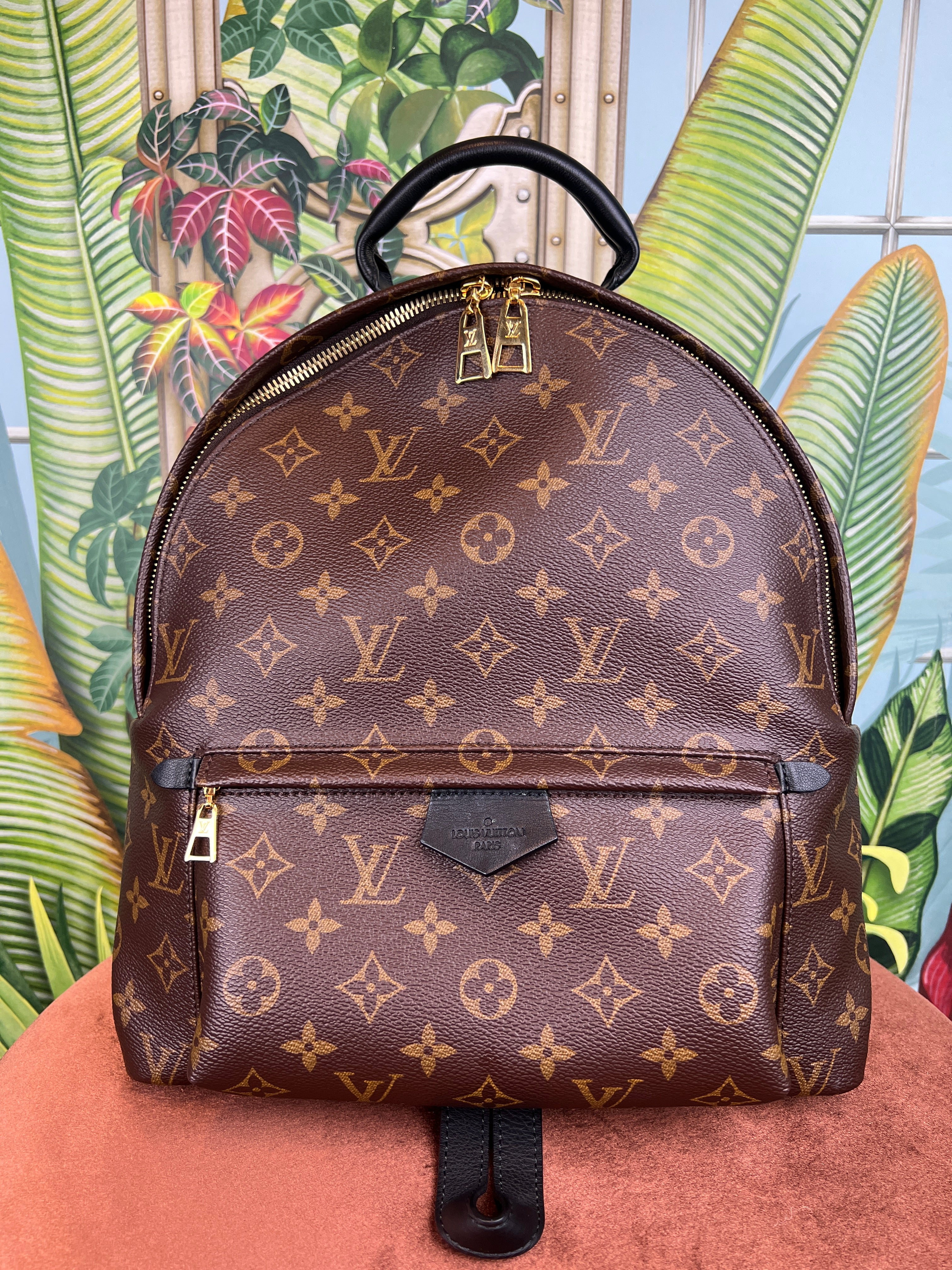 image of Louis Vuitton palm spring backpack