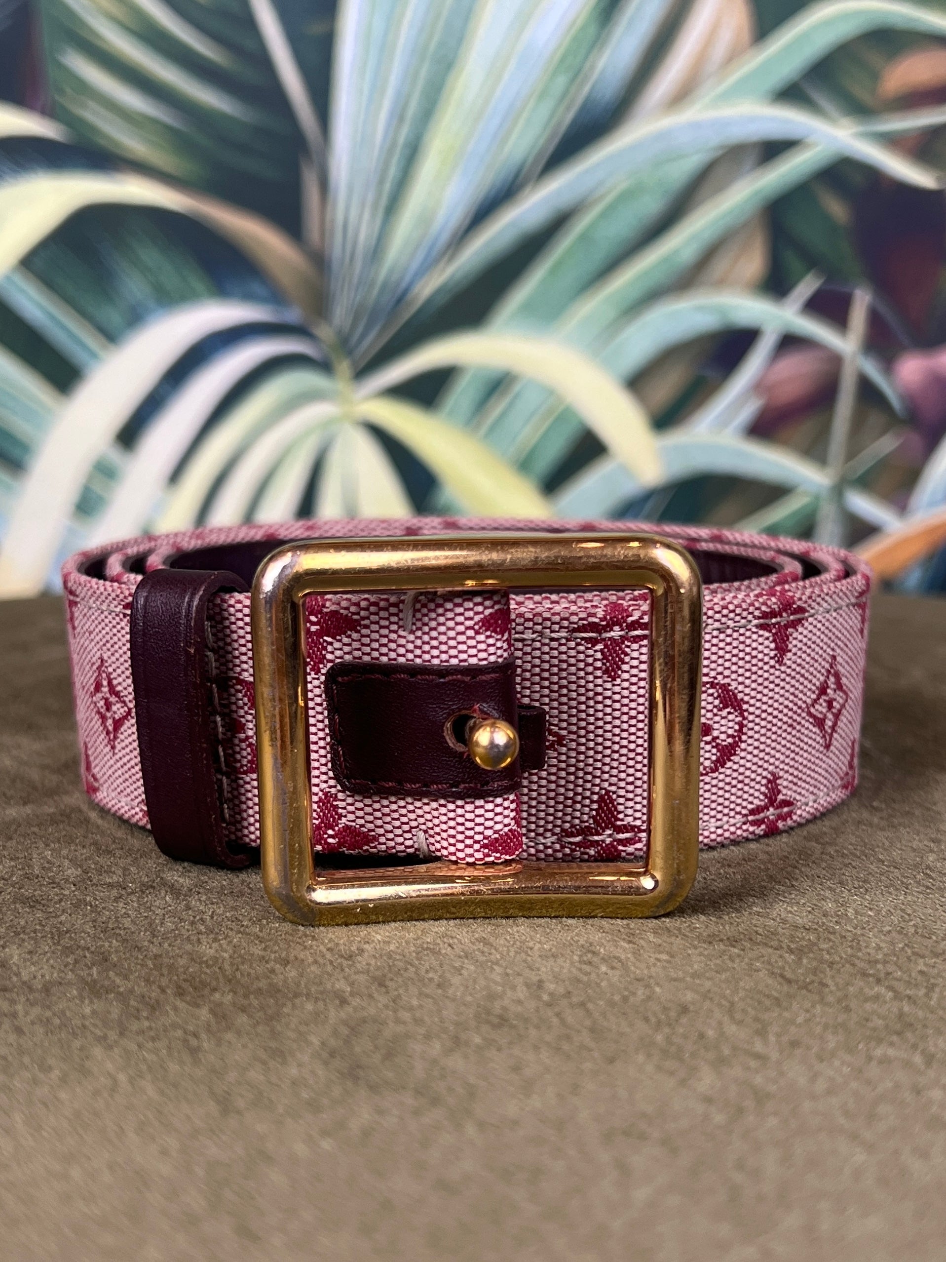 image of Louis Vuitton canvas belt