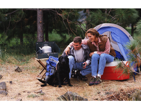 Man and woman with dog camping in a tent