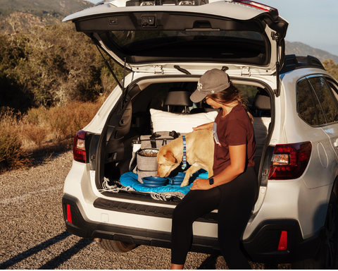 Girl and Dog in back of car with Rubyloo Dog Travel Bag for Suppllies