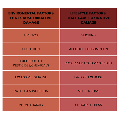 Environmental and Lifestyle factors that cause oxidative damage