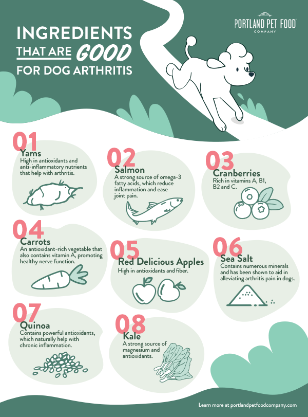 Eight Ingredients That Are Good For Dog Arthritis And Joint Pain