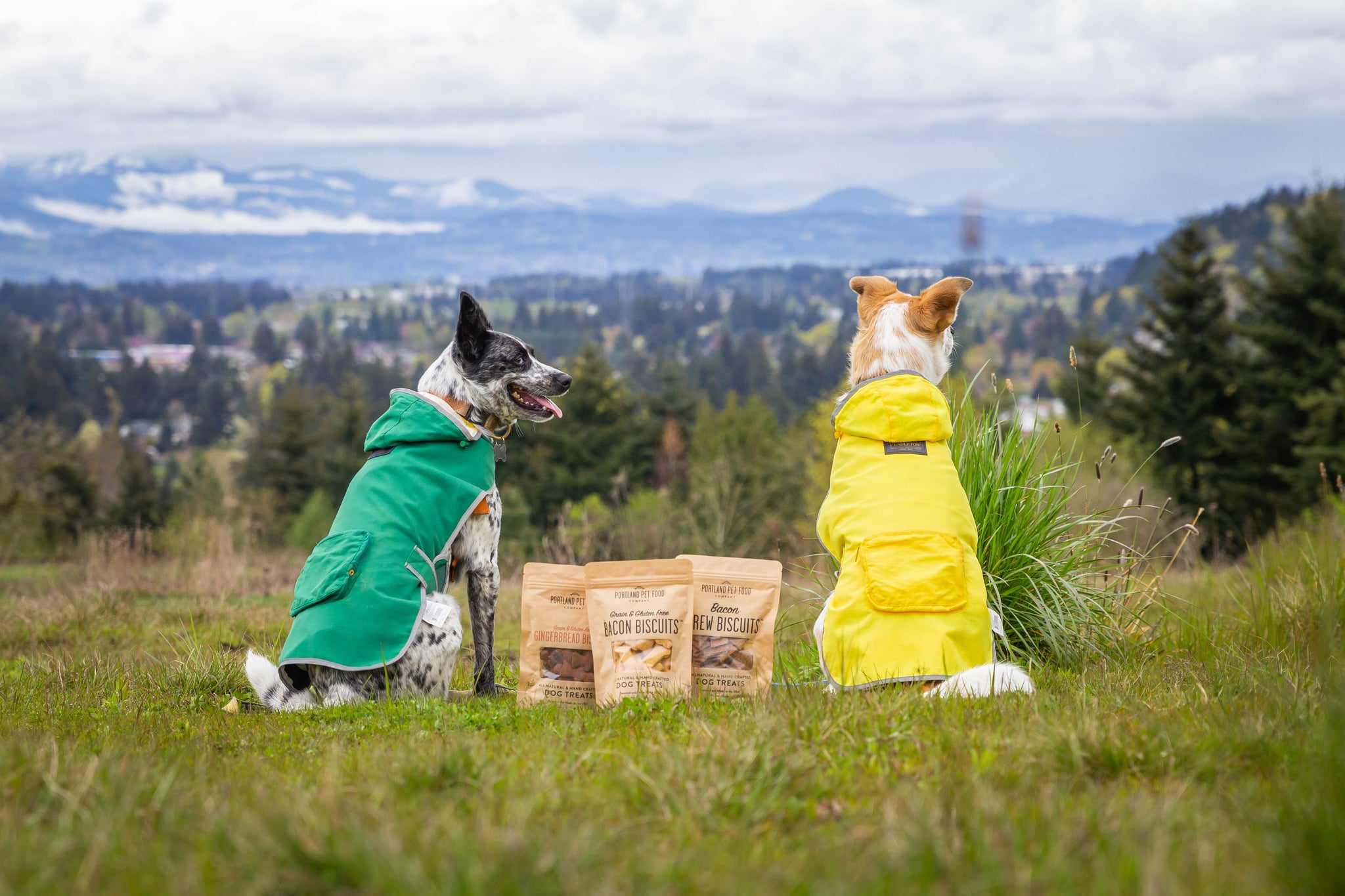 Two dogs smiling and sitting next to Portland Pet Food Biscuits