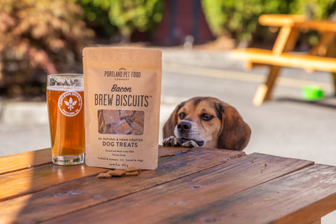 Beagle looks at brew treats